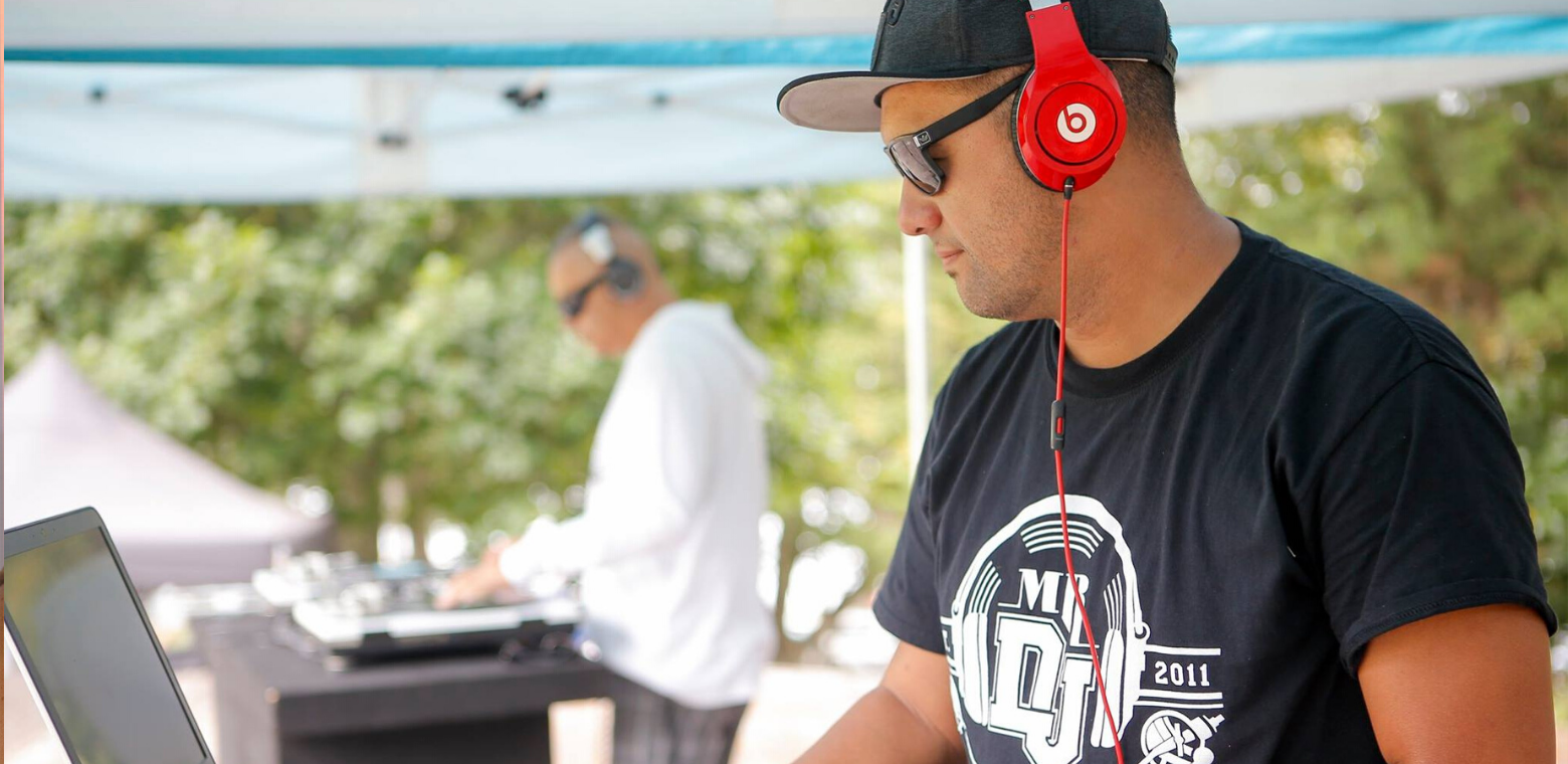 Grooves in the Gardens Retro Market: Hamilton Gardens Arts Festival
